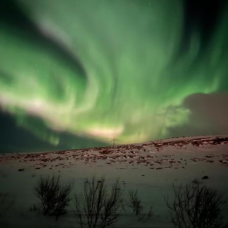 Leilighet I Vadsø Exteriör bild